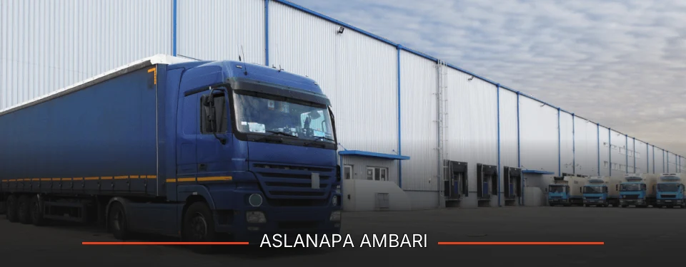 Aslanapa Ambarı