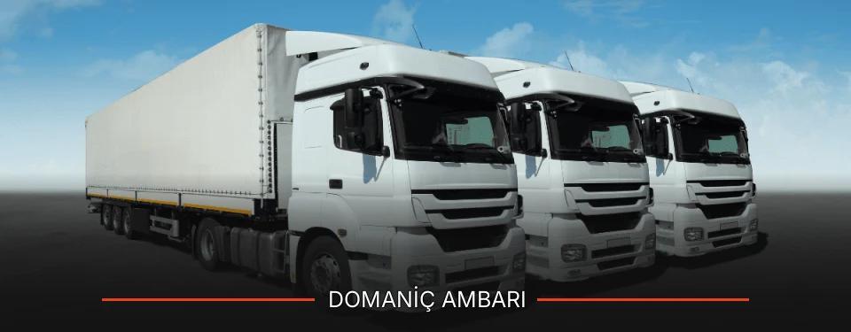 Domaniç Ambarı